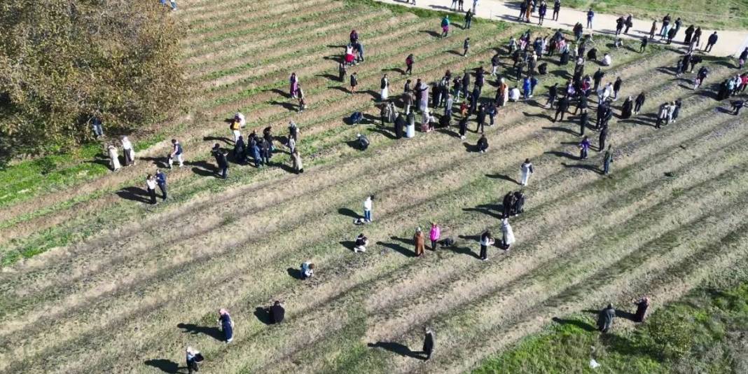 Bu ürün için yurt dışından bile akın ediyorlar! Hasat eden kazancını katlıyor: Kilosu 600.000 TL ediyor 1